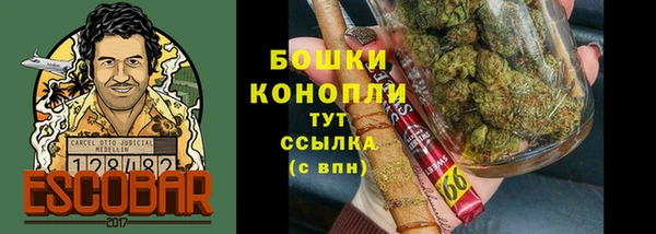 mdpv Богданович
