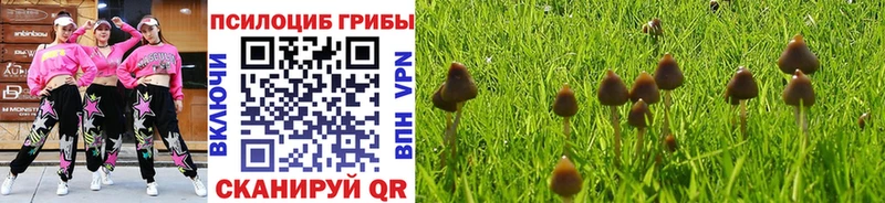 Псилоцибиновые грибы прущие грибы  как найти наркотики  Десногорск 